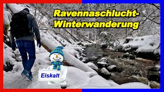 Wanderung durch die Ravennaschlucht ab Bahnhof Hinterzarten  eine frostige Angelegenheit 🐻‍❄️😉 [upl. by Didier]