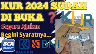 RESMI  PENYALURAN KUR 2024 SUDAH DIBUKA  Begini persyaratannya dan cara daftarnya ❗ [upl. by Dettmer]