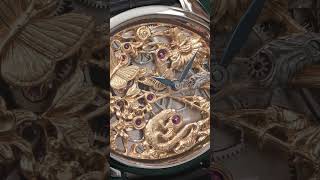 Faune et Flore  Andreas Strehler [upl. by Oakley]