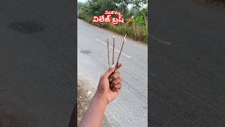 వేపపుల్ల విలేజ్ బ్రష్ villagelife shorts ytshorts viralshorts telugushorts songs [upl. by Timms]