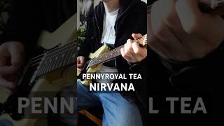 Nirvana  Pennyroyal Tea guitar cover [upl. by Hahnke826]