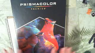 Prismacolor Nupastels review vs Mungyo pastels unboxing and fruit still life  LIVE [upl. by Ymaj714]