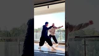 Ba Jiquan teachingBurst full strength to attack kungfu bajiquan [upl. by Ennaehr447]