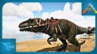 CARA MUDAH TAMING GIGANOTOSAURUS DENGAN GRAPPLING HOOK  Ark Survival Evolved Indonesia [upl. by Ylram]