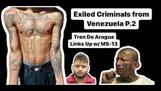 Exiled Criminals From Venezuela Part 2 [upl. by Anelrad]