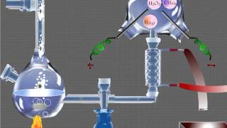 Miller and Urey Experiment and Ehemical Evolution of Primitive Earth [upl. by Ahsan]