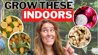 Unlock the Secrets Growing Four Tropical Fruits INDOORS [upl. by Ardua771]