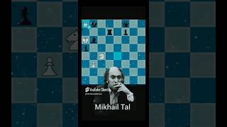 Mikhail tal brilliant game part 2 chessshorts shorts [upl. by Ynohtn]