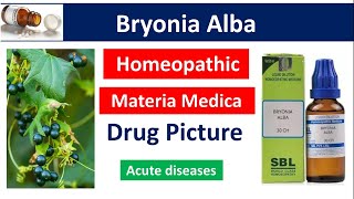 Bryonia Alba Homeopathic Medicine  Drug Picture  Materia Medica bhms bryonia [upl. by Morey]