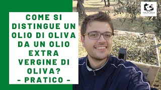 La differenza tra olio di oliva e olio extravergine di oliva Video pratico [upl. by Ydor528]