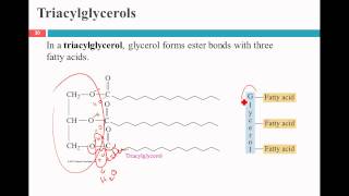 waxes fats and oils [upl. by Eamon]