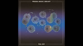 Prisma Music Library  PML 009 Sample Pack Marketplace [upl. by Amiaj86]