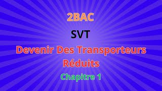 2BACSVT CH1 Libération de lénergie emmagasinée dans la  Devenir Des Transporteurs Réduits [upl. by Gisele]