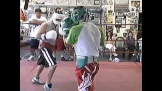 Manny Pacquiao and Steve The Mongoose Quinonez Jr Sparring at WildcardVOB [upl. by Ahsaetan615]