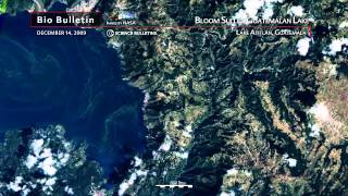 Science Bulletins Bloom Sullies Guatemalan Lake [upl. by Bayless]