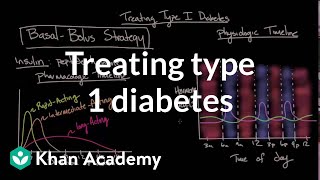 Treating type I diabetes  Endocrine system diseases  NCLEXRN  Khan Academy [upl. by Eldwin428]