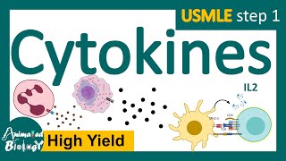 Cytokines  subclasses of cytokines  functions of cytokines  USMLE step 1 [upl. by Cleodel638]