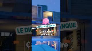 Vous savez tout sur le PEL  🏠 DicoDeLaBanque [upl. by Ameehsat309]