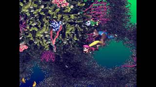 Fish Food Frenzy Bonus amp DK Coins DKC3 [upl. by Milewski]