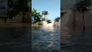 Dam overflow in northeast Nigeria causes dangerous flooding [upl. by Adnamahs674]