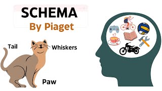 Piaget  Schema in 2 minutes  Constructs and Critical Perspectives [upl. by Solakcin]