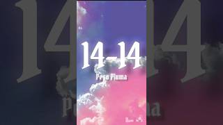 14  14  Peso Pluma LETRAENGLISH LYRICS [upl. by Ekihc]