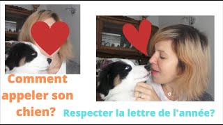 Comment appeler son chien Noms de chien cool  faut il respecter la lettre de son année [upl. by Ecilahs]