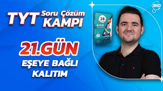 Eşeye Bağlı Kalıtım Genetik Çeşitlilik Soru Çözümü  21 Günde TYT Biyoloji Kampı21 [upl. by Marlowe158]