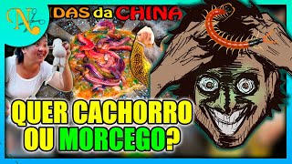 COMIDAS CHINESAS ME TORNARAM XENOFÓBICO  React As Mais Nojentas Comidas da China FaladeTudo [upl. by Adranoel151]