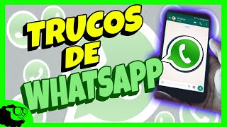 Trucos de privacidad de Whatsapp [upl. by Nolrah185]