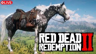 EM BUSCA DO MISSOURI FOX TROTTER  Modo Campanha do RDR2 no PC 60fps 27 [upl. by Aridan319]