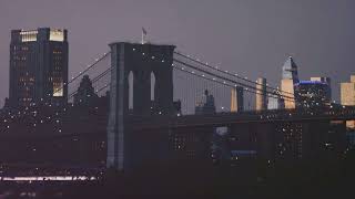 Exploring the Iconic Brooklyn Bridge A Tourists Guide [upl. by Ardnuhsal380]