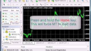 Import Data from MetaTrader to Forex Strategy Builder [upl. by Maxine413]