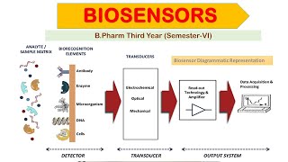 Biosensor Definition Types amp Component of Biosensor Unit1 Biotechnology 6th Semester BPharm [upl. by Aneeuq]