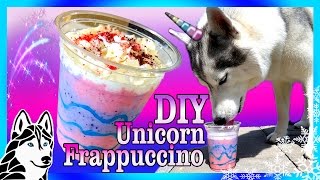 DIY UNICORN FRAPPUCCINO FOR DOGS  DIY Dog Treats  Snow Dogs Snacks 72 [upl. by Lavine]