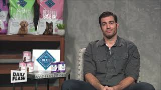 Pet Food Sensitivity and the Holidays  Dr Evan Antin  Daily Flash [upl. by Mckenna]