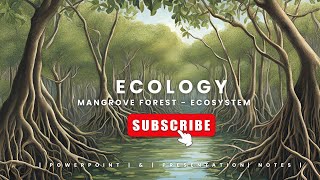 Wetland  Ecosystem Mangroves  Ecology  Power point Slides  Notes [upl. by Inatsed608]