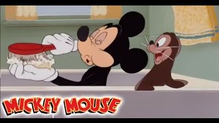 Micky Maus Kicherkracher  Kurzfilm Micky und der Seehund  Disney Channel [upl. by Inna]