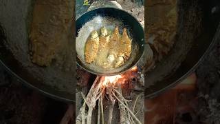 ଜଙ୍ଗଲ ମଝିରେ fish fry 🐠😋shortsfeed shortvideo fishfry food recipe song [upl. by Rico]