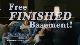 FREE FINISHED BASEMENT [upl. by Aekin]