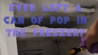 quotMelt Away A TimeLapse of Defrosting the Freezerquot [upl. by Ardeha977]