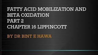 Beta oxidation of Fatty acids Chapter 16 Biochemistry made easy by Dr Bint e Hawa [upl. by Ttelrahc889]