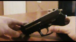 Customized SIG Sauer SP2022 [upl. by Atterol]