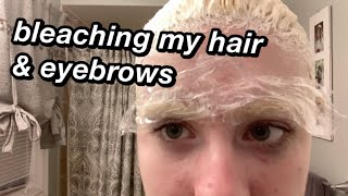 bleaching my hair and eyebrows [upl. by Tempa]