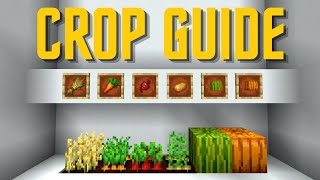 The BEST WAYS To Grow Every Crop In Minecraft 120 [upl. by Daugherty]