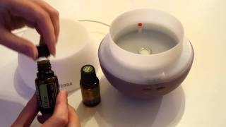 How to use a diffuser for your Essential Oils [upl. by Rauscher]