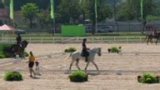 No risk of glanders at Olympic equestrian [upl. by Carmela551]