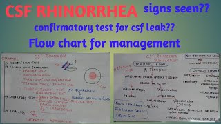 CSF Rhinorrhea [upl. by Micco874]