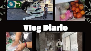 Vlog Diario Proyecto Casi Terminado [upl. by Lettie]