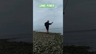 GUNKI POWER fishing gunki fish illex bassfishing catchandrelease happy sea [upl. by Eltotsira]